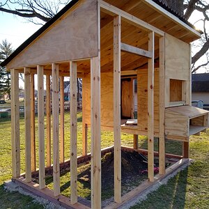 my coop in progress