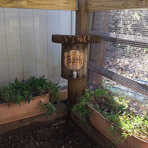 Dust bath sign