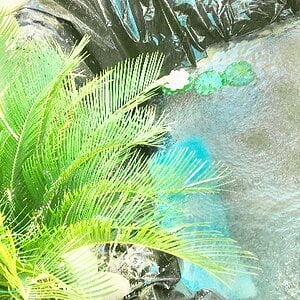 541F8692-BCAC-4405-9B82-00608F54837F.jpeg