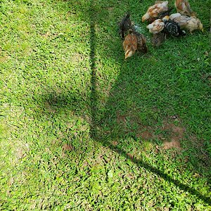 20210513_145613.jpg