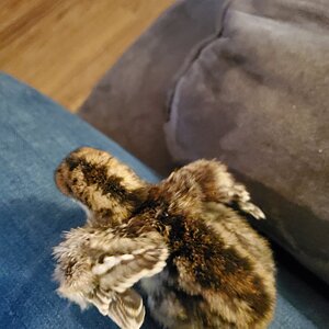 20210327_162835.jpg