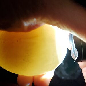 20201225_192453.jpg