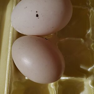 20201227_014908.jpg