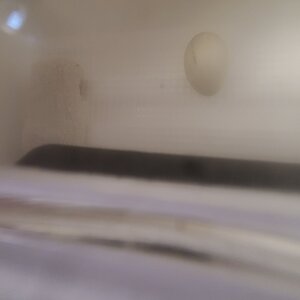 20210123_114555.jpg