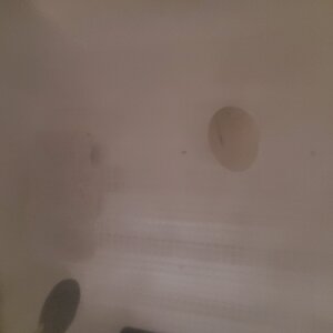 20210123_114536.jpg