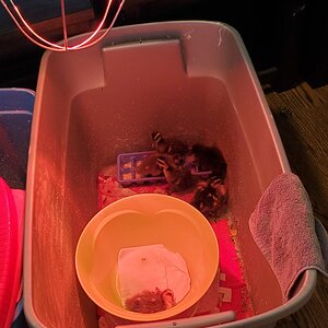 20210209_133614.jpg