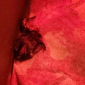 20210207_125836.jpg