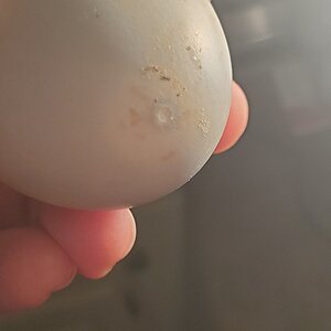 20210210_161344.jpg