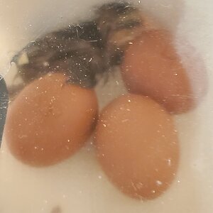 20210309_210332.jpg