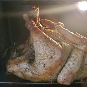 20201126_121013.jpg