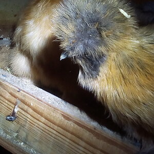 IMG_20201222_232656.jpg