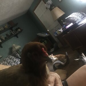 F590AD19-792C-4203-B83D-DED957D9B81C.jpeg