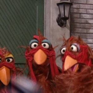Sesamechickens.jpg