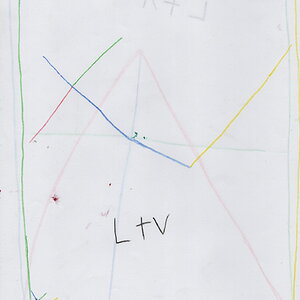 LTV Logo.jpg