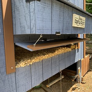 Cleanout door