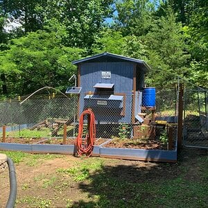 New Coop and Run!