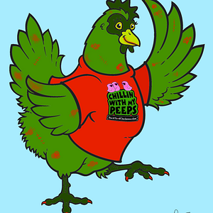 11.png