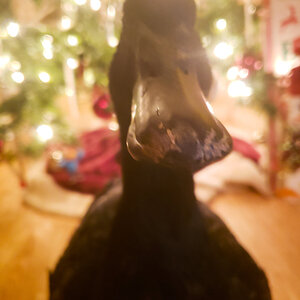 PSX_20201124_173800.jpg