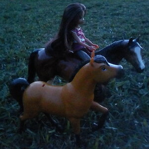 Model Horses scene