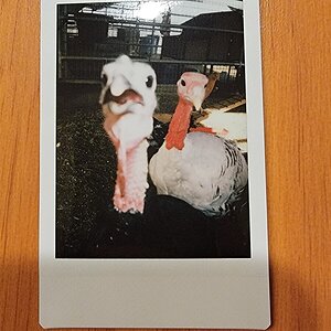 20210811_191610.jpg
