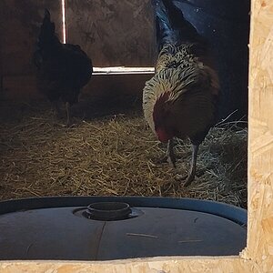 20210704_132911.jpg