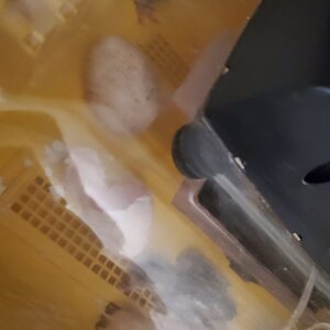 20211105_211153.jpg