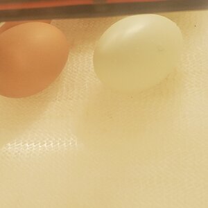 20211019_145335.jpg