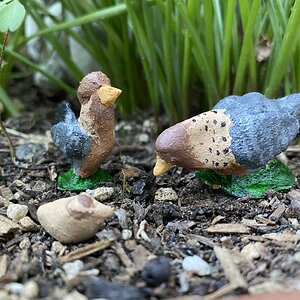 Private, Frankie, and Dot.