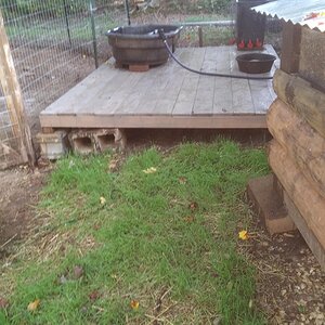 The Duck Yard