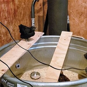 Stock tank brooder