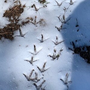 firsttimeinsnowj22.jpg