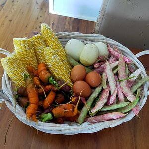 Veggies!