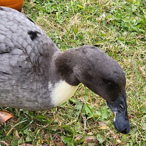 20211024_130406.jpg