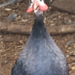 Screenshot 2022-03-03 6.23.30 PM.png