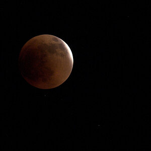 Moon_eclipse_X5156951_05-15-2021-001.jpg