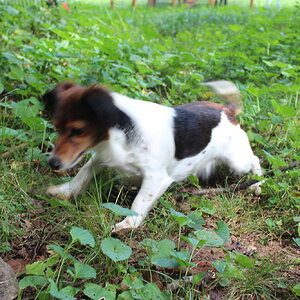 Hey Mom! That Rock has Feet1