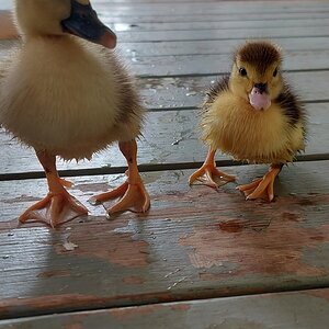 After a swim.