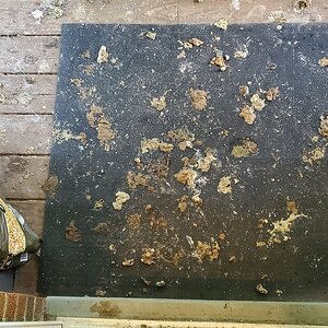 That's the result of the ducknagers sleeping in front of the patio door
