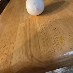 Chicken Poppy2.jpg