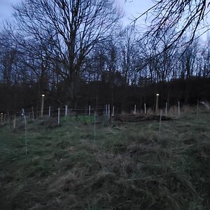 Four corner posts of the veggie garden fence