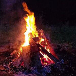 Bonfire with Violeta Duck calling in the background