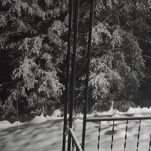 After the first snow-storm of 2022