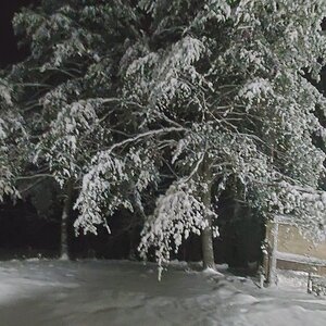 After the first snow-storm of 2022