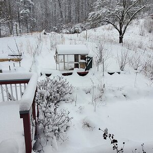 After the first snow-storm of 2022