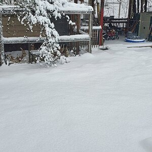 After the first snow-storm of 2022