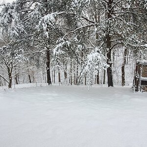 After the first snow-storm of 2022