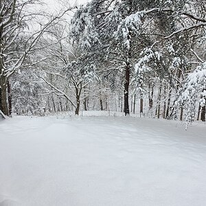 After the first snow-storm of 2022