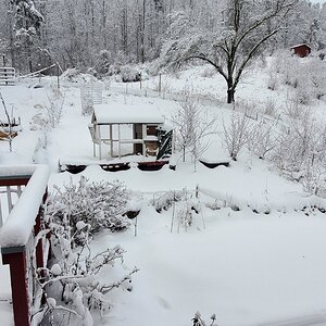 Result of the second snow storm in 2022