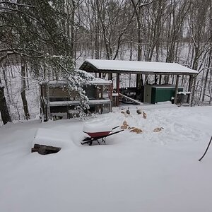 (Ab)using ducks to clear the snow (Les Miserables ++)