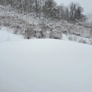 Result of Winterstorm Quinn